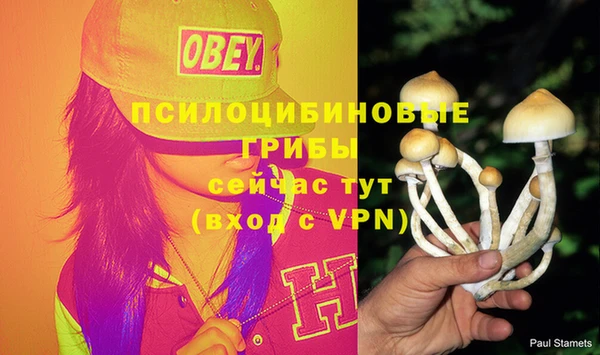 хмурый Волоколамск